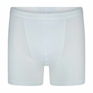 10-Pack Heren boxershorts Roger Wit