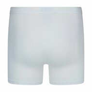 10-Pack Heren boxershorts Roger Wit