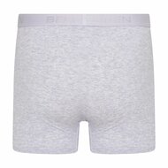 10-Pack Heren boxershorts Roger Melee