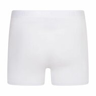 10-pack Heren boxershorts Dylan Wit 