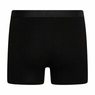 10-pack Heren boxershorts Dylan Zwart 