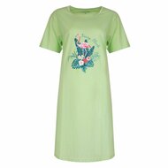 Dames Big Shirt pastel Green met print Flamingo