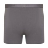 2 pack heren boxershort C.F. Roger Grijs