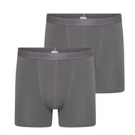 2 pack heren boxershort C.F. Roger Grijs