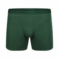 Heren Boxershort Maxx Owen Cilanto Green